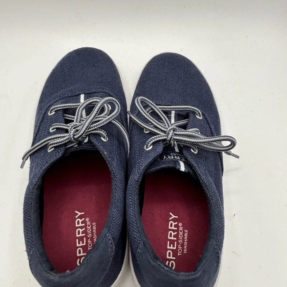 Sperry Men's Navy Casual Shoes